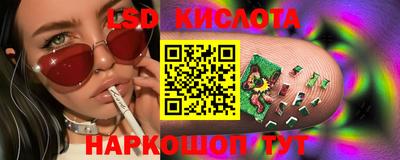 гидра Краснознаменск